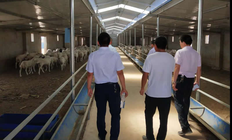 C2530B20C7F3DB1746B477F9D0C_16B704E2_ADC6