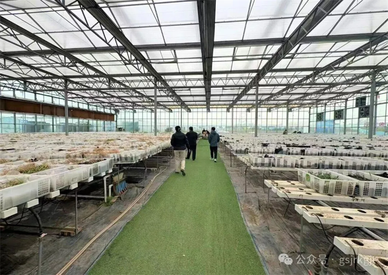 FDEA472BC4A62DB0769363DA27A_4883B109_E42FC