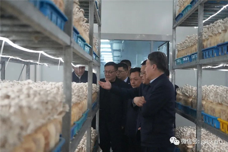 0FF313B7E29D3B8BDDF60F4567C_161C2037_19329