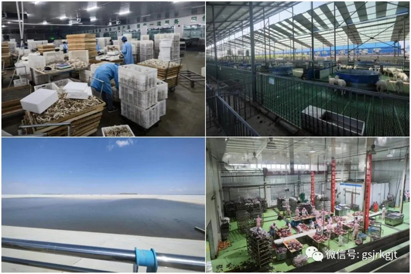 9F6303381605F2BBA8B2F3B7A0F_5728AF55_6B6B4