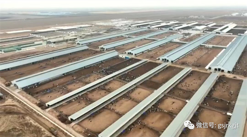 892A3CB862993CC13A00AD62A2A_3C42AEC6_58D3E