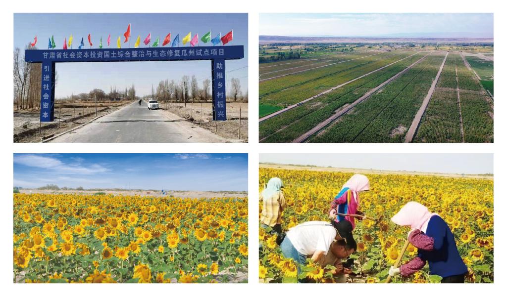 BBC5A34E4EF375E03D70746C433_3A32B4AE_1EE44