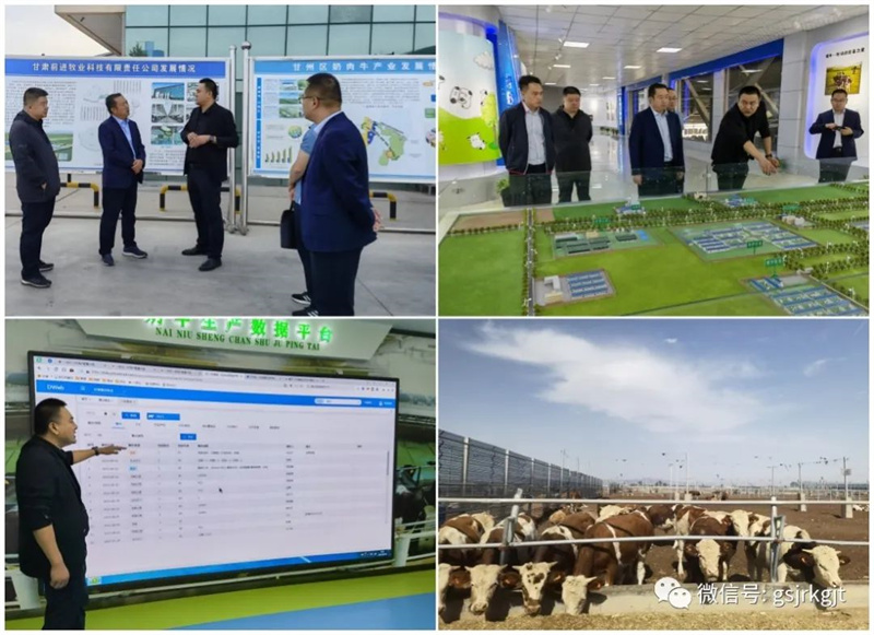 5C75B3EDB72D8385FD1985EAD69_0A686AC3_3396B