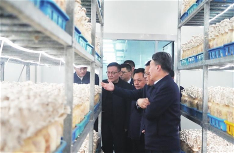 698AA6A60139D2A8EBE5BF856FC_F3D52862_4E86E