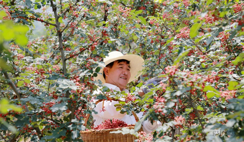 2CEE535EF70B51747B573C0C251_0DA20157_4BD48