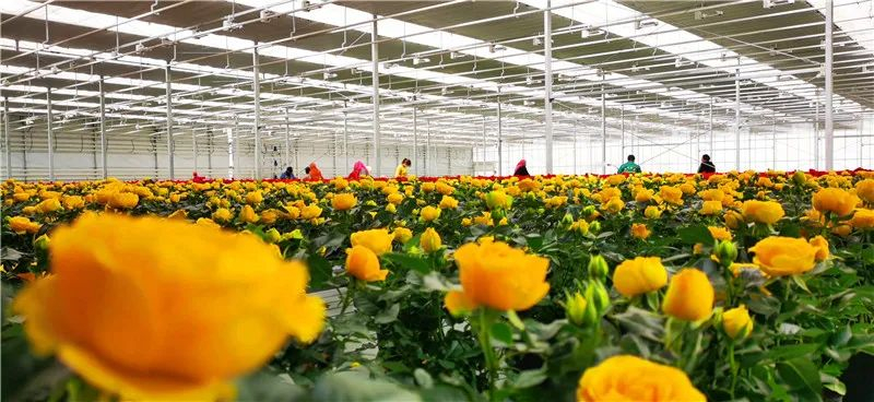 F2447A9810BE9F7CAE9EC4E627D_92CCE693_58A5D