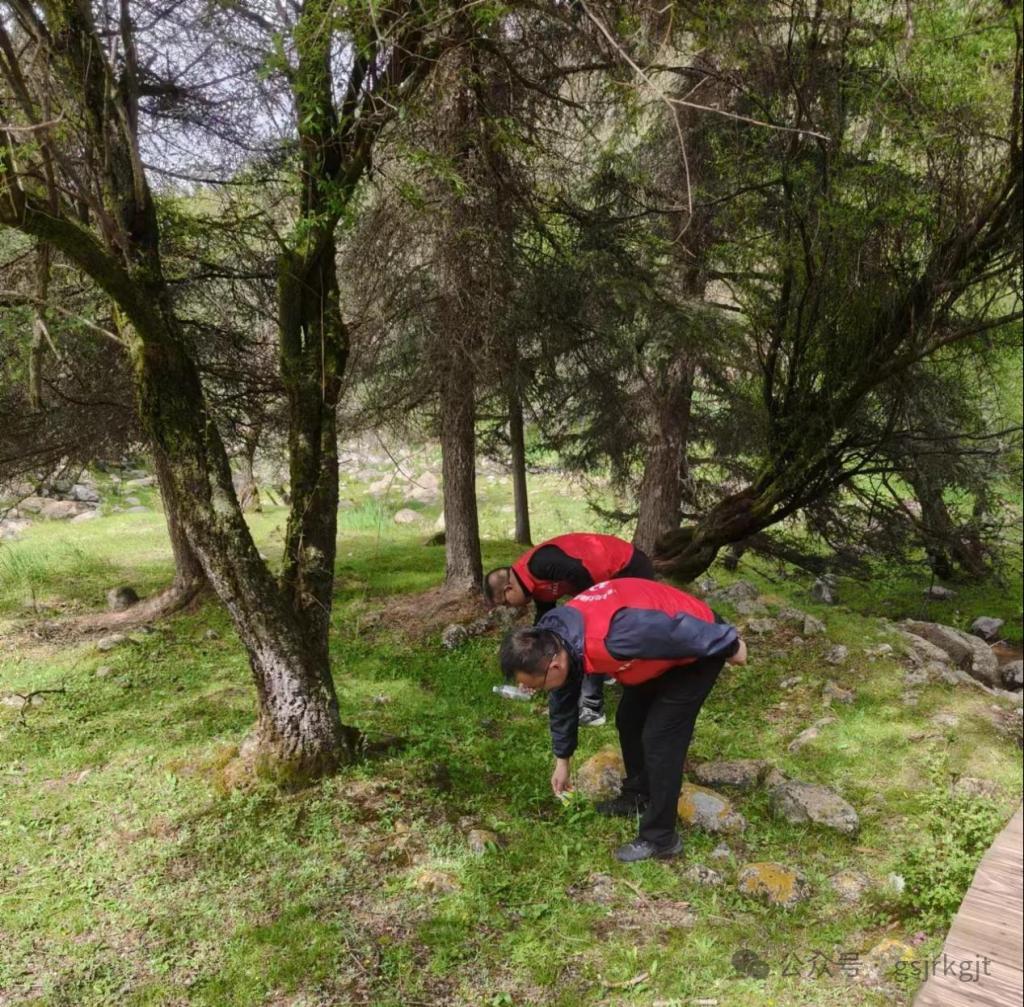 E69326DE99244BF211BEC2C33BD_1DF878D2_3A762