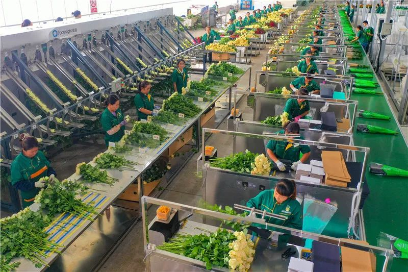 5E3171A1AB91361572A9E5F8450_F1D5F928_7D221