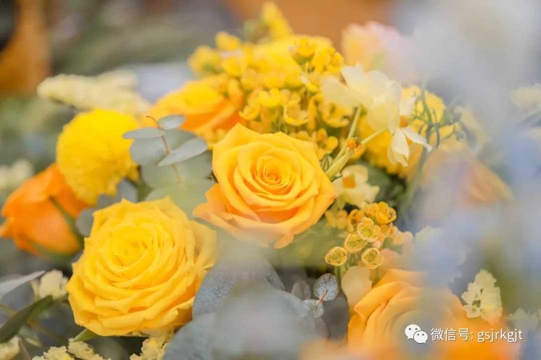 217EF308EE14B34C384EB4CCEAE_245360C1_553FD