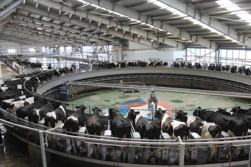 6C4C1D4B3A016F844620EB64E6F_7367C4D0_DBC2