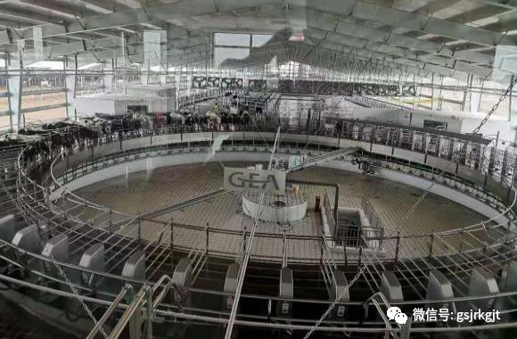 48D063110300EC3F43E66070AD7_401C805B_5B95B