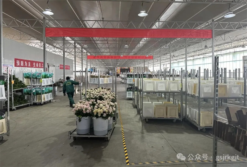 C055372F931BA8F8A431E4DBA77_70536D82_6B8A2