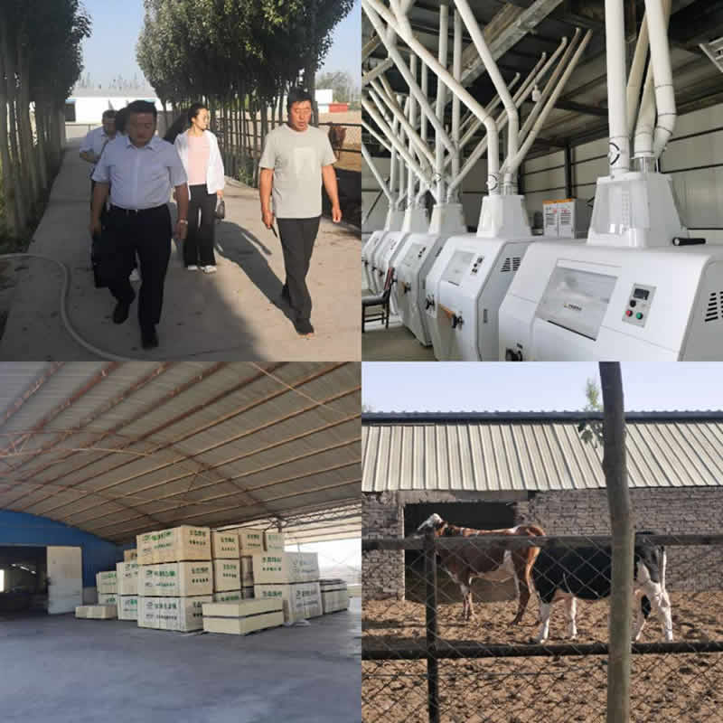 023D115896D28224A4CC34378D6_C840CA81_FDDA