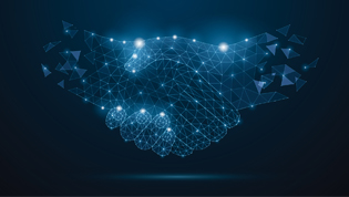 联系BJL平台集团