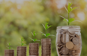 bjl平台·(中国)集团